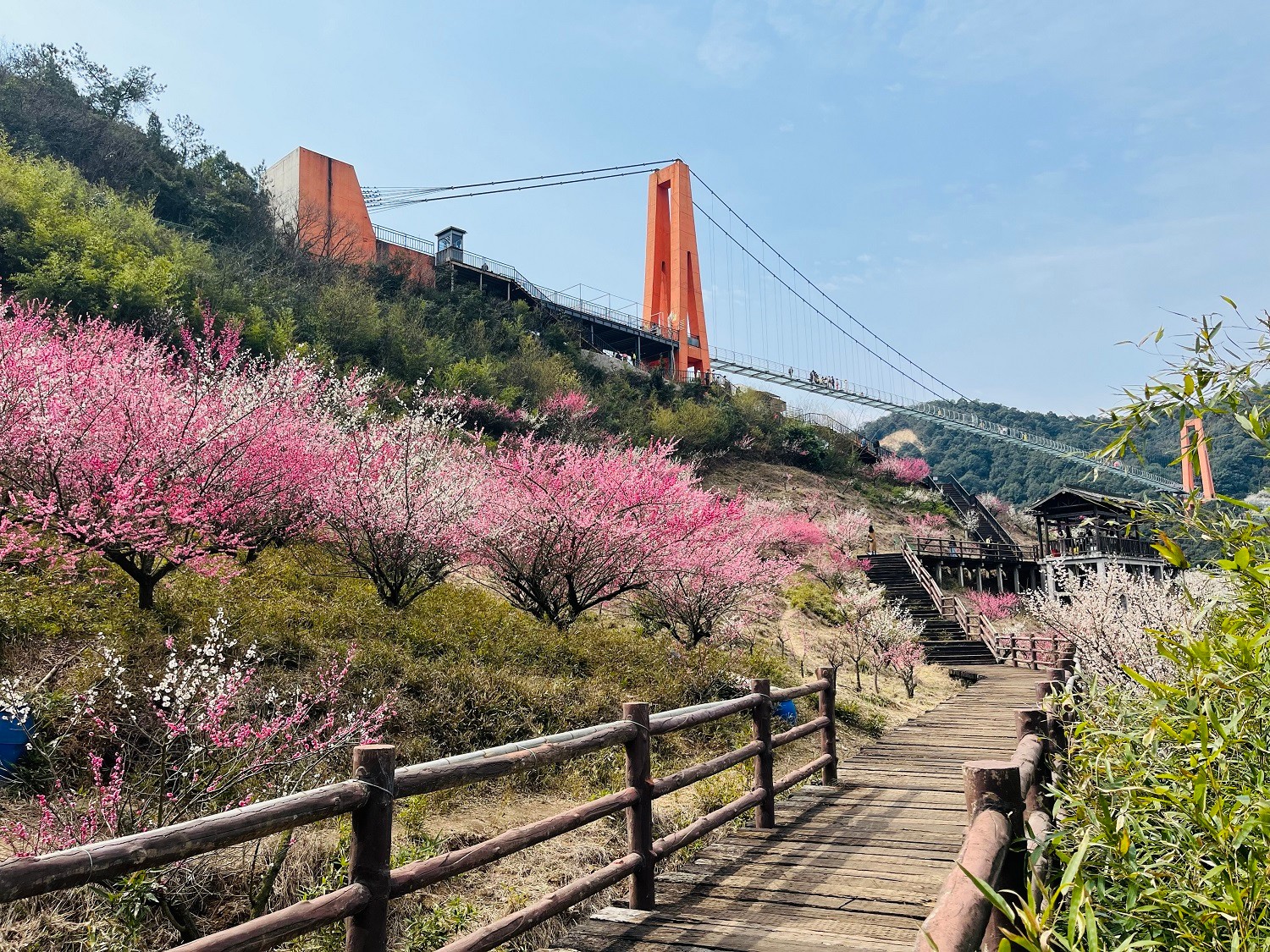 1678670505613774.jpg 1678670505613774.jpg